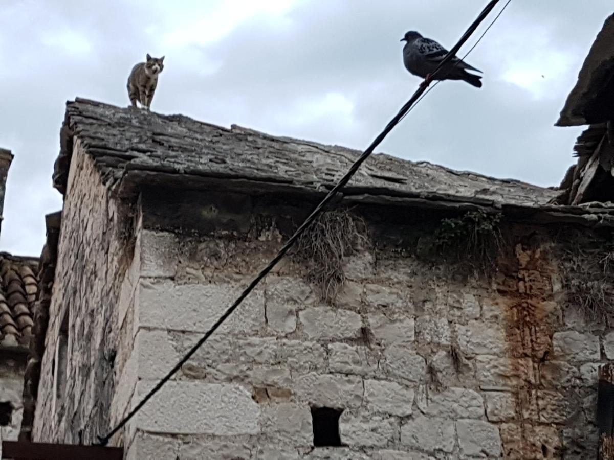 Appartamento Vukovarska Rose Kaštela Esterno foto